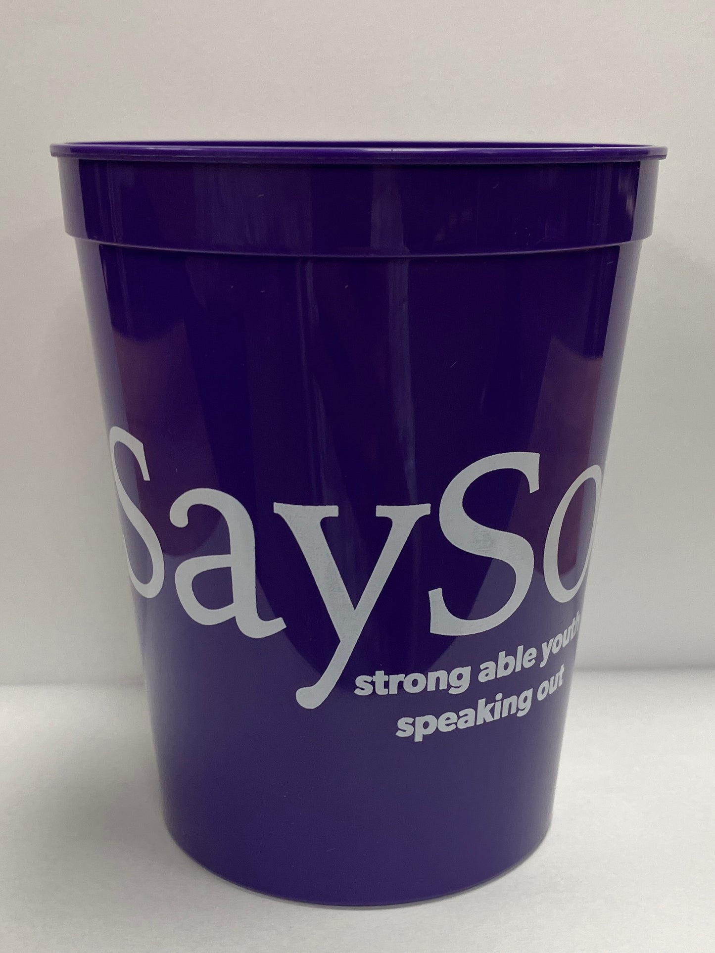 Sayso Stadium Cup