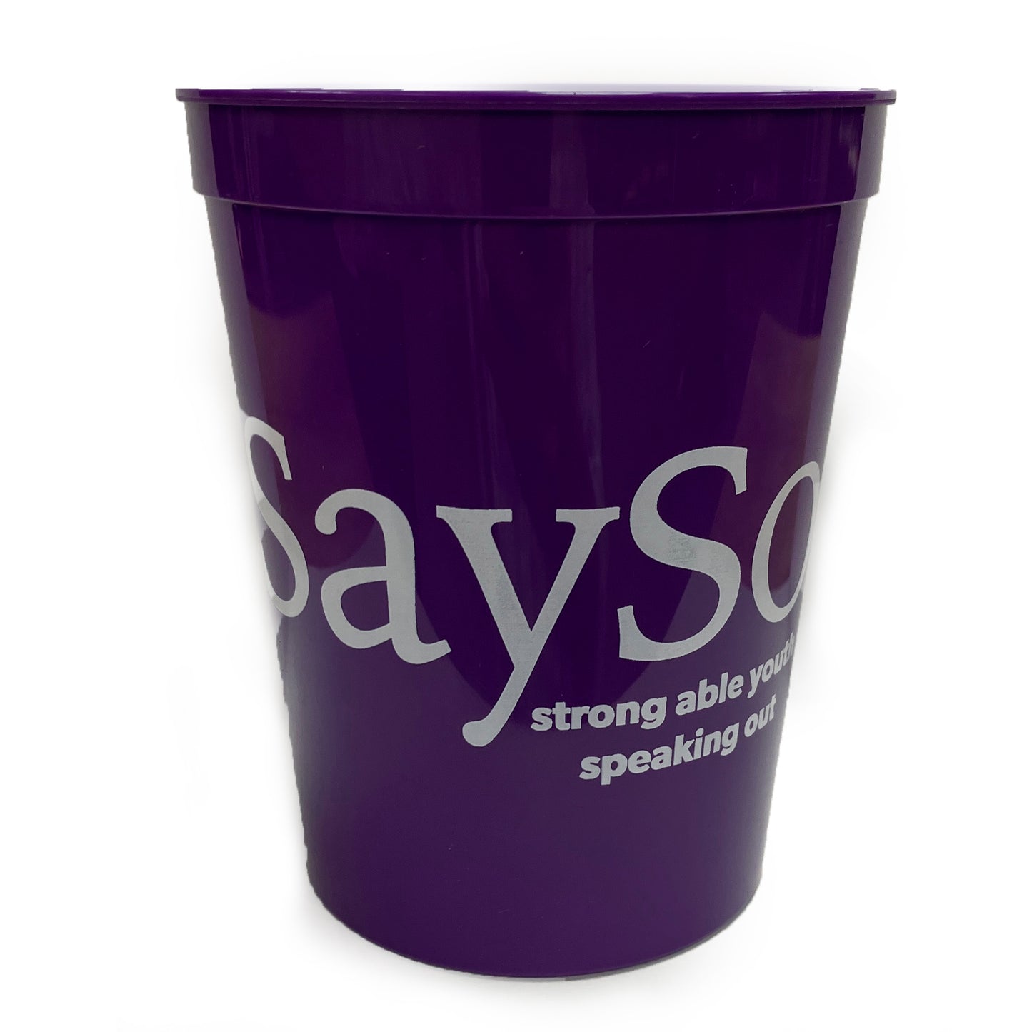 Sayso Stadium Cup